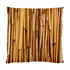 Asian Background Bamboo Standard Cushion Case (two Sides)