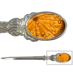 Lime Water Bubbles Macro Light Detail Background Letter Opener by Wegoenart