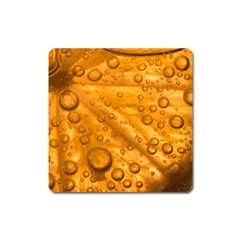 Lime Water Bubbles Macro Light Detail Background Square Magnet by Wegoenart