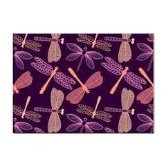 Dragonfly Pattern Design Sticker A4 (10 Pack) by Wegoenart