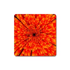 Red Orange Illustration Background Abstract Square Magnet by Wegoenart