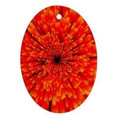 Red Orange Illustration Background Abstract Oval Ornament (two Sides) by Wegoenart