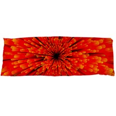 Red Orange Illustration Background Abstract Body Pillow Case Dakimakura (two Sides) by Wegoenart