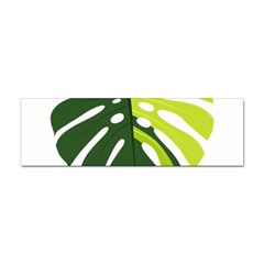 Monstera  Sticker Bumper (100 Pack) by ConteMonfrey