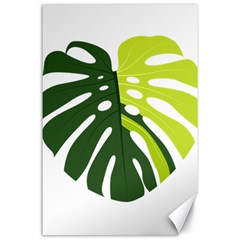 Monstera  Canvas 24  X 36  by ConteMonfrey