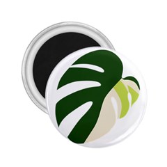 Monstera 2 25  Magnets by ConteMonfrey