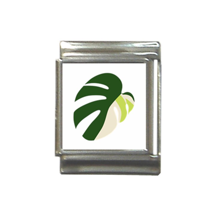 Monstera Italian Charm (13mm)