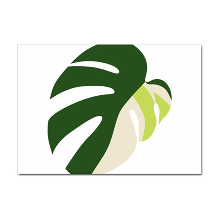 Monstera Sticker A4 (10 pack)