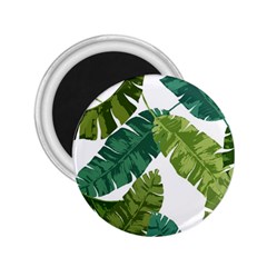 Banana Leaves Tropical 2 25  Magnets by ConteMonfrey