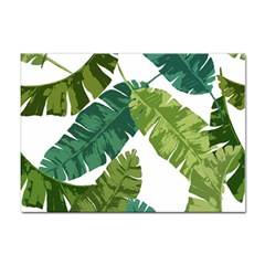 Banana Leaves Tropical Sticker A4 (100 Pack) by ConteMonfrey