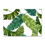 Banana Leaves Tropical Sticker A4 (100 pack) Front