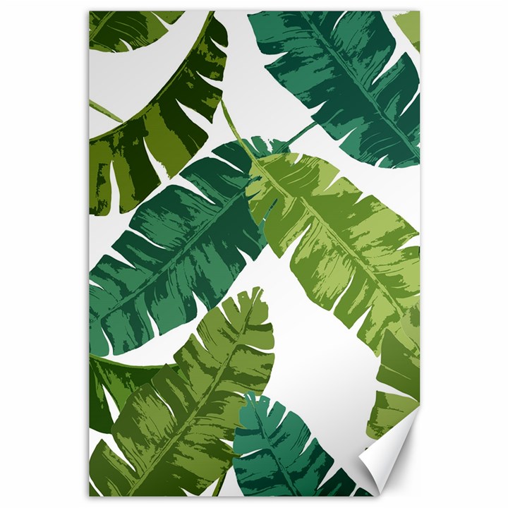 Banana Leaves Tropical Canvas 12  x 18 