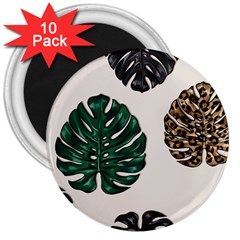 Colorful Monstera  3  Magnets (10 Pack)  by ConteMonfrey