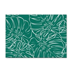 Tropical Monstera  Sticker A4 (100 Pack) by ConteMonfrey