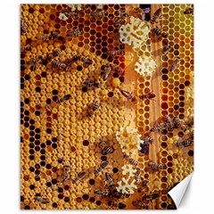 Insect Macro Honey Bee Animal Canvas 8  x 10 