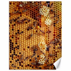 Insect Macro Honey Bee Animal Canvas 18  x 24 