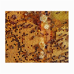 Insect Macro Honey Bee Animal Small Glasses Cloth (2 Sides)