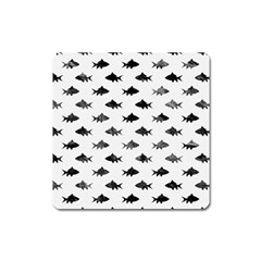 Cute Small Sharks   Square Magnet by ConteMonfrey