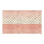 Mermaid Ombre Scales  Banner and Sign 5  x 3  Front