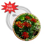 Flower Stained Glass Window 2.25  Buttons (100 pack)  Front