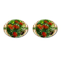 Flower Stained Glass Window Cufflinks (oval)