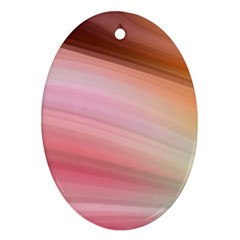 Gradient Brown, Green, Pink, Orange Oval Ornament (two Sides) by ConteMonfrey