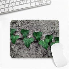 Vine On Damaged Wall Photo Small Mousepad by dflcprintsclothing