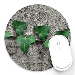 Vine On Damaged Wall Photo Round Mousepad by dflcprintsclothing