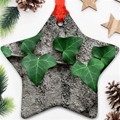 Vine On Damaged Wall Photo Ornament (star)