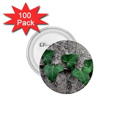 Vine On Damaged Wall Photo 1 75  Buttons (100 Pack)  by dflcprintsclothing