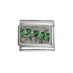 Vine On Damaged Wall Photo Italian Charm (9mm) by dflcprintsclothing