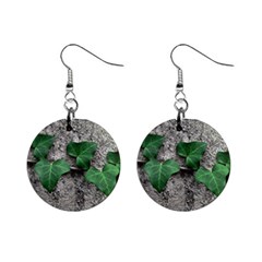 Vine On Damaged Wall Photo Mini Button Earrings by dflcprintsclothing