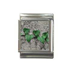 Vine On Damaged Wall Photo Italian Charm (13mm) by dflcprintsclothing