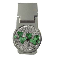 Vine On Damaged Wall Photo Money Clips (round)  by dflcprintsclothing