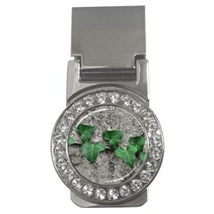 Vine On Damaged Wall Photo Money Clips (cz)  by dflcprintsclothing