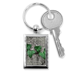 Vine On Damaged Wall Photo Key Chain (rectangle) by dflcprintsclothing