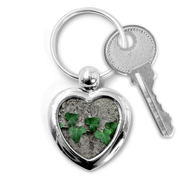 Vine On Damaged Wall Photo Key Chain (Heart)