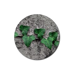 Vine On Damaged Wall Photo Rubber Coaster (round) by dflcprintsclothing