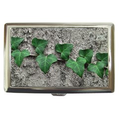 Vine On Damaged Wall Photo Cigarette Money Case