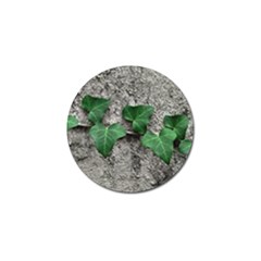 Vine On Damaged Wall Photo Golf Ball Marker by dflcprintsclothing