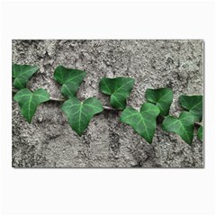 Vine On Damaged Wall Photo Postcards 5  X 7  (pkg Of 10) by dflcprintsclothing