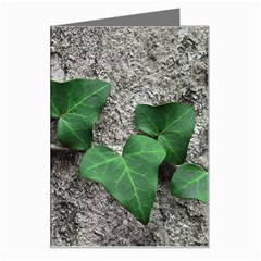 Vine On Damaged Wall Photo Greeting Card by dflcprintsclothing