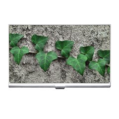 Vine On Damaged Wall Photo Business Card Holder by dflcprintsclothing