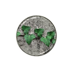 Vine On Damaged Wall Photo Hat Clip Ball Marker by dflcprintsclothing