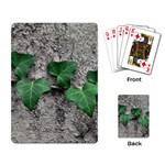 Vine On Damaged Wall Photo Playing Cards Single Design (Rectangle) Back