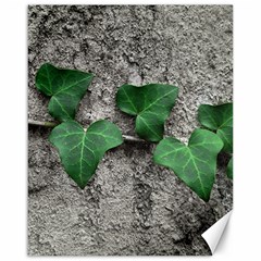 Vine On Damaged Wall Photo Canvas 16  X 20  by dflcprintsclothing