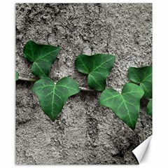 Vine On Damaged Wall Photo Canvas 20  X 24  by dflcprintsclothing