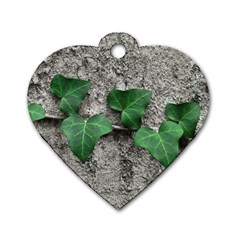 Vine On Damaged Wall Photo Dog Tag Heart (one Side) by dflcprintsclothing