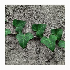 Vine On Damaged Wall Photo Medium Glasses Cloth by dflcprintsclothing