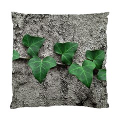 Vine On Damaged Wall Photo Standard Cushion Case (one Side)